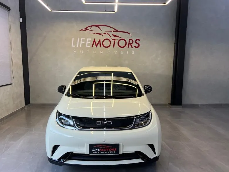 BYD - BYD/DOLPHIN GS 180EV