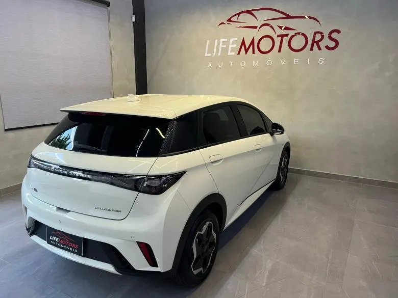 BYD - BYD/DOLPHIN GS 180EV