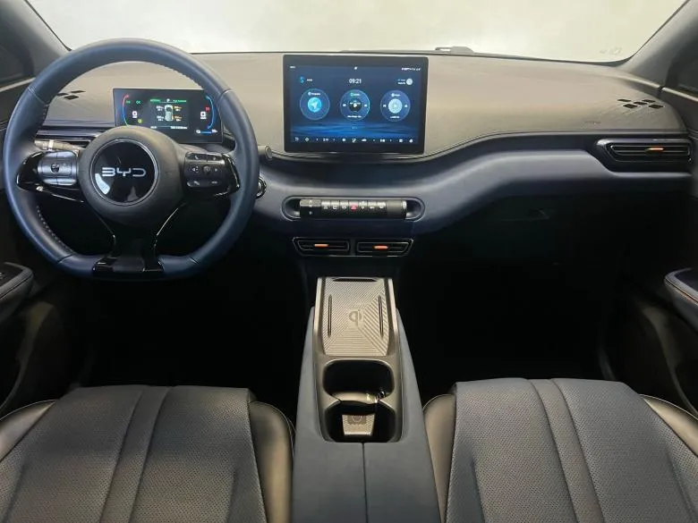 BYD - BYD/DOLPHIN MINI GS EV