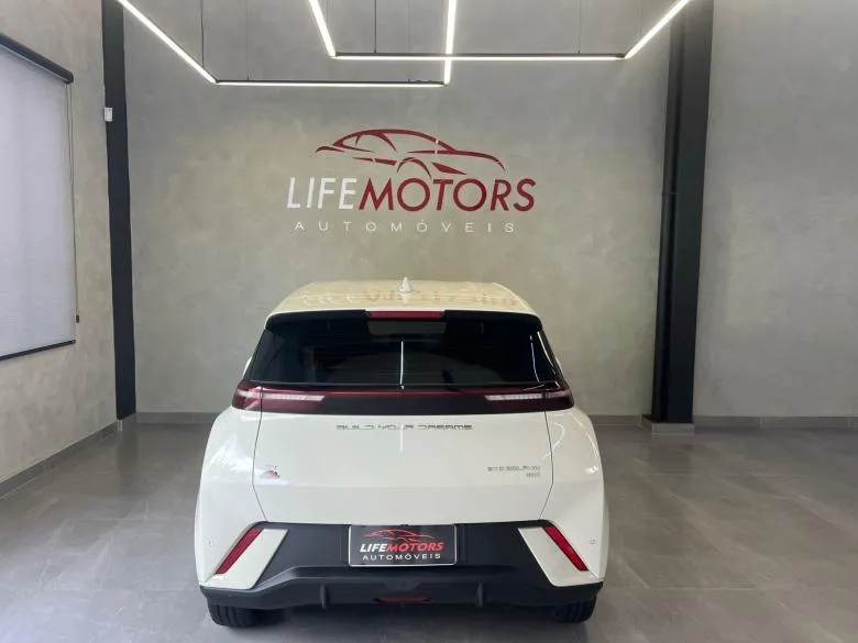 BYD - BYD/DOLPHIN MINI GS EV