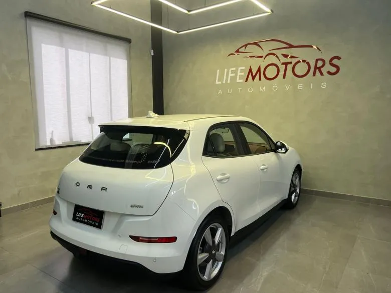 GWM - GWM/ORA 03 SKIN BEV48