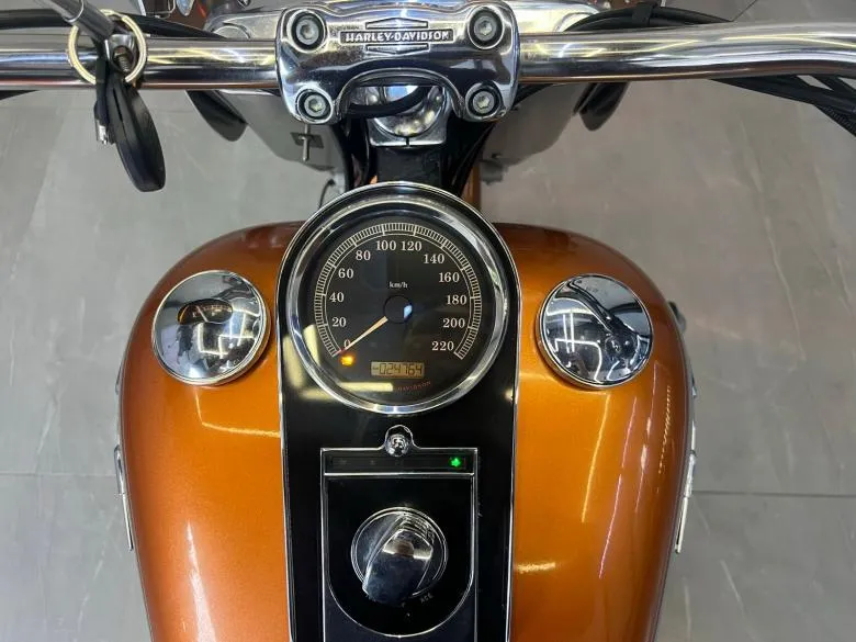 HARLEY-DAVIDSON - HARLEY-DAVIDSON/SOFTAIL DELUXE FLSTN